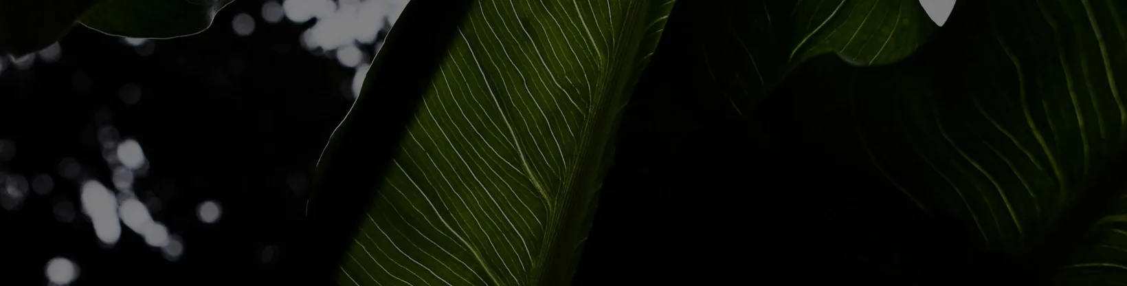 爱游戏